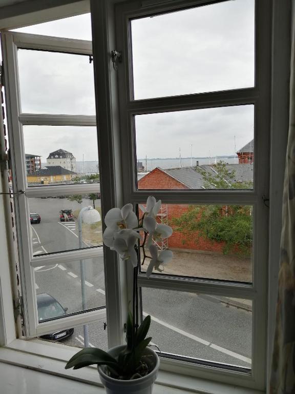 Det Gamle Hotel Rudkøbing Exteriör bild